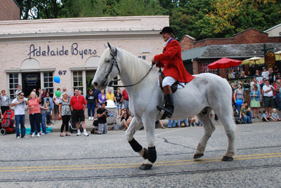 Horse Drawn Wedding Carriage Horse - Mr. Callahan